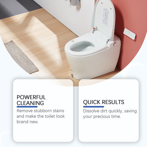 Toilet-snavsrens