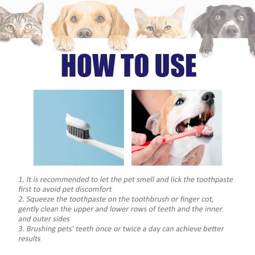 Kæledyrs V34 tandpasta