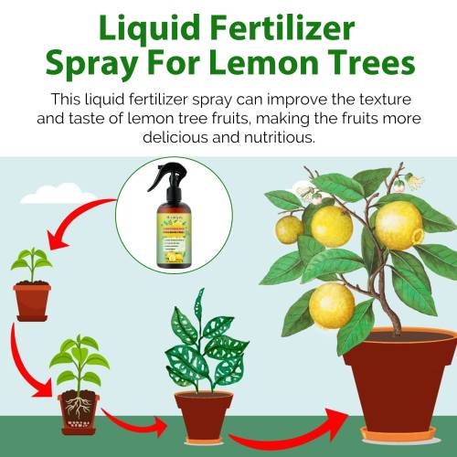 Citrontræ flydende gødningsspray