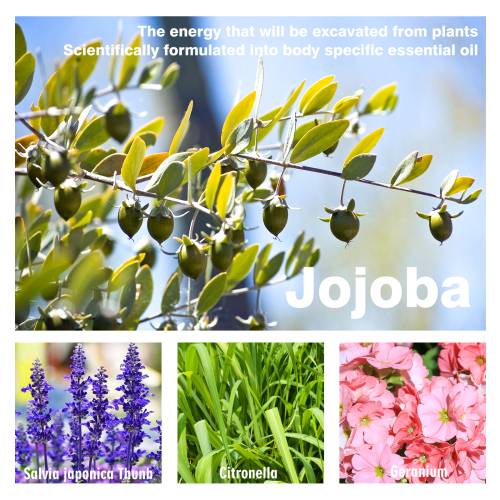 Jojoba roll-on bryst-massageolie