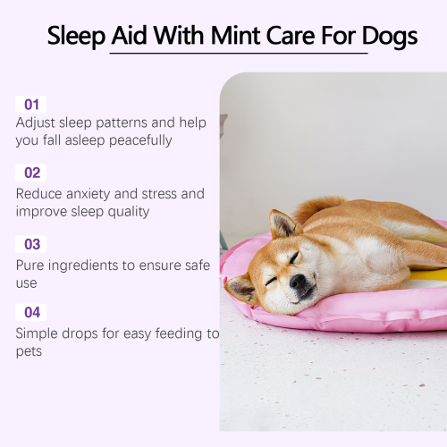 Aftendråber til hunde