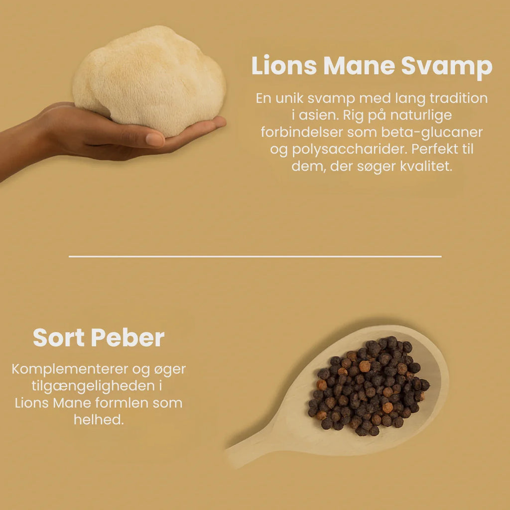 Lions Mane 3200 mg