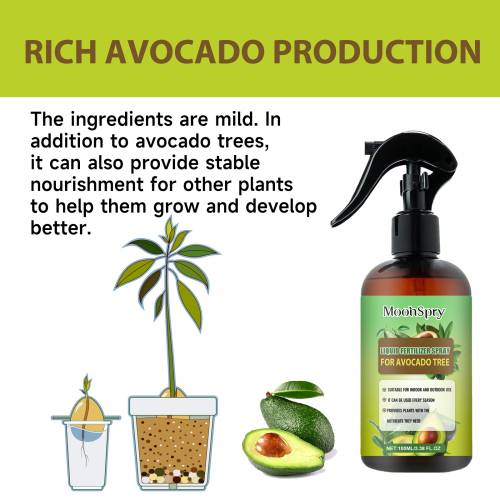 Avocadotræ 3-1-2 flydende gødning
