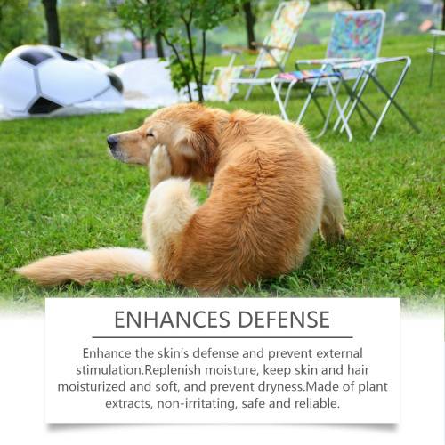 Plejende hundeshampoo