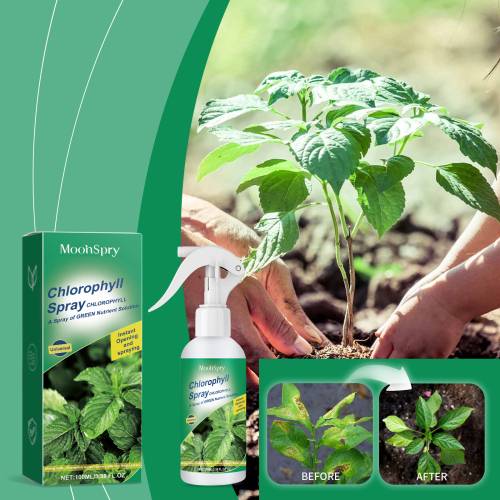Klorofyl plantespray
