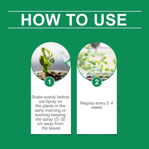 Klorofyl plantespray