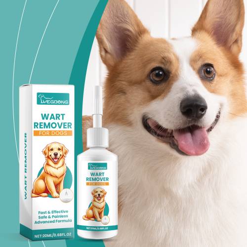 Mild hundehud-plejevæske
