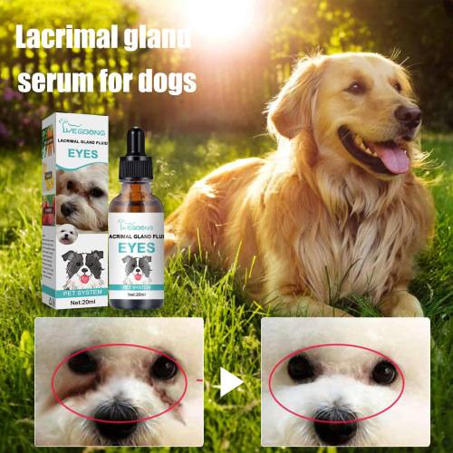 Tåreplet-serum til hunde