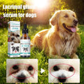 Tåreplet-serum til hunde