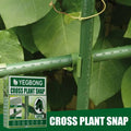 Plast-planteclips