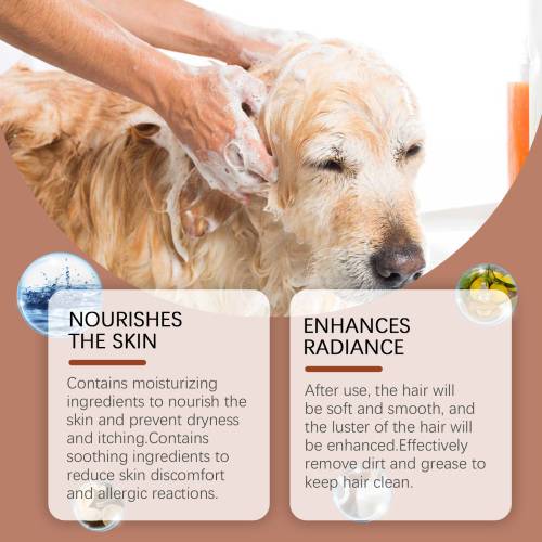 Mild plejeshampoo til hunde