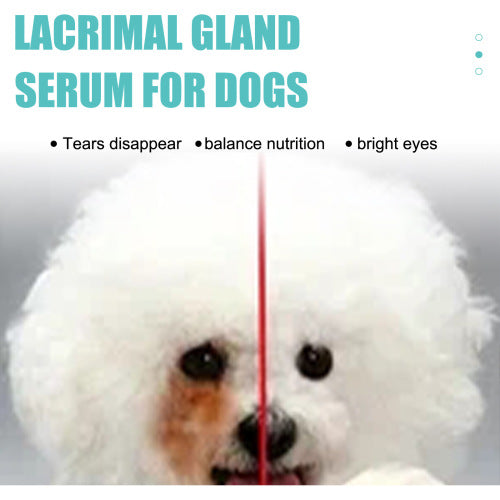 Tåreplet-serum til hunde
