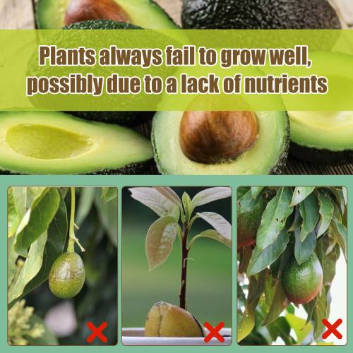 Avocadotræ 3-1-2 flydende gødning