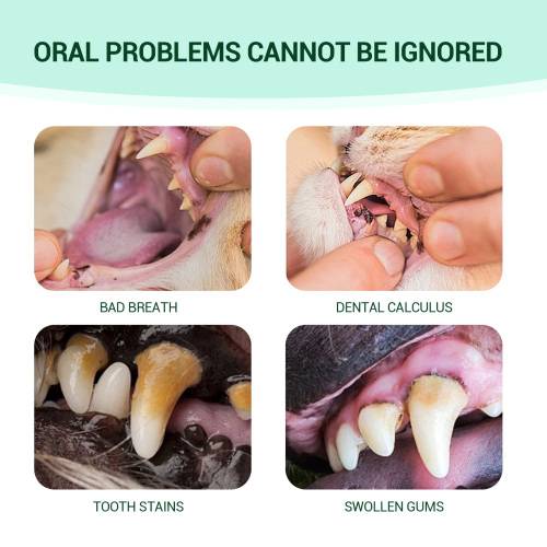 Kæledyrs-tandgel for frisk ånde
